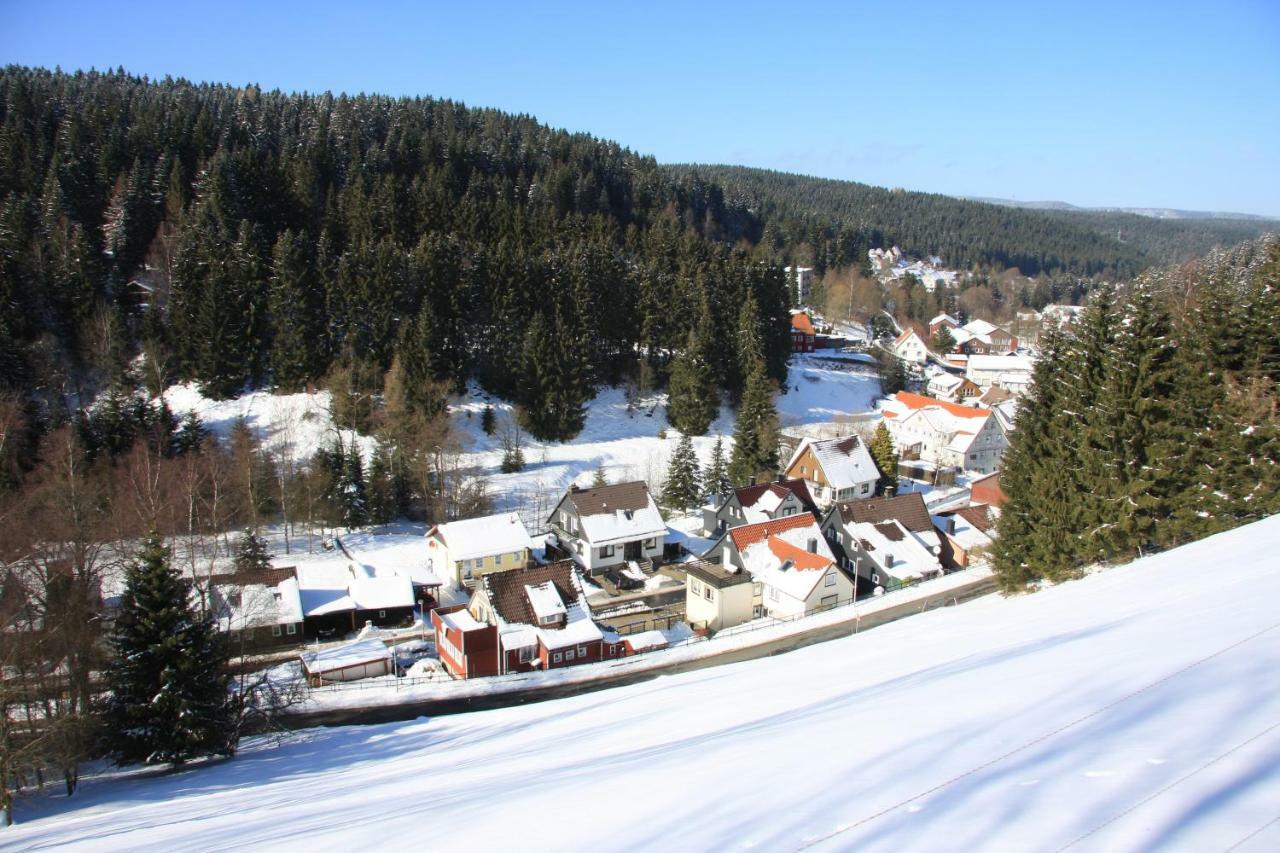 Kurpark Domizil Villa Altenau  Buitenkant foto
