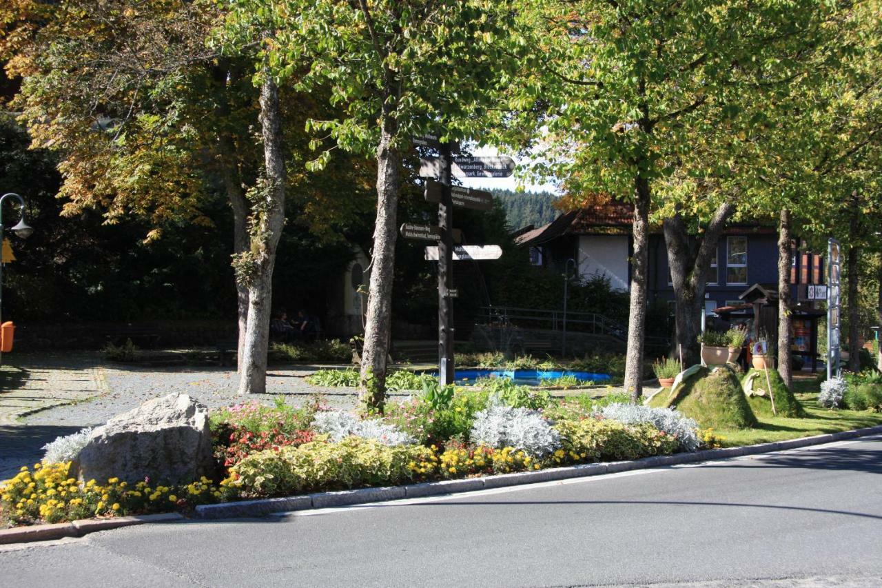 Kurpark Domizil Villa Altenau  Buitenkant foto